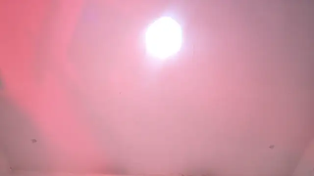 amber demons2021 online show from November 2025 10:56:01 PM