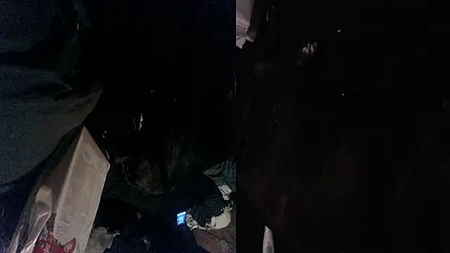 kinkinthebox online show from February 2025 09:26:02 AM