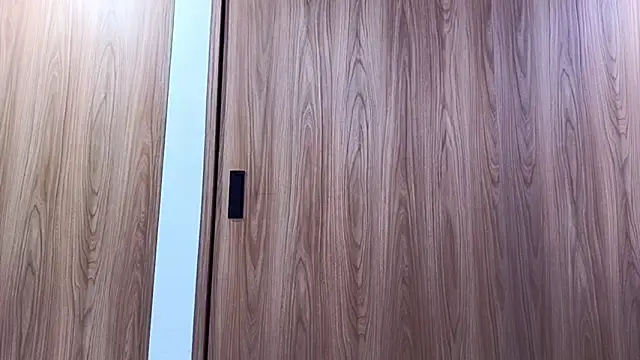 Snapshot of Molly_ADY chatting on October 2025 06:45:02 PM Molly ADY online show from October 2025 06:45:02 PM