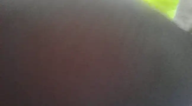 Chitrani- online show from January 2025 09:37:02 AM