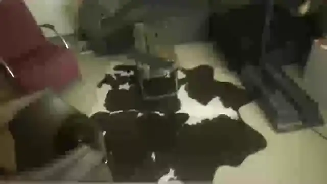 Snapshot of oopsxx chatting on December 2025 01:57:01 AM oopsxx online show from December 2025 01:57:01 AM