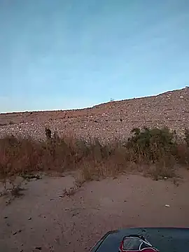 Snapshot of FloppyPickle4u chatting on February 2025 02:56:02 PM FloppyPickle4u online show from February 2025 02:56:02 PM