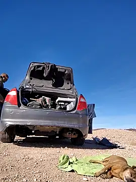 Snapshot of FloppyPickle4u chatting on February 2025 09:37:01 PM FloppyPickle4u online show from February 2025 09:37:01 PM