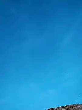 Snapshot of FloppyPickle4u chatting on February 2025 01:15:01 AM FloppyPickle4u online show from February 2025 01:15:01 AM