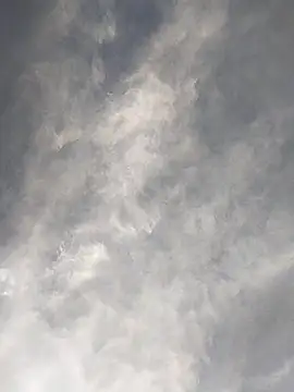 Snapshot of FloppyPickle4u chatting on February 2025 11:42:01 PM FloppyPickle4u online show from February 2025 11:42:01 PM