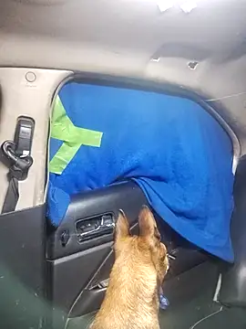 Snapshot of FloppyPickle4u chatting on February 2025 05:31:02 PM FloppyPickle4u online show from February 2025 05:31:02 PM