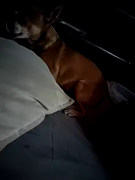 Snapshot of FloppyPickle4u chatting on February 2025 04:31:01 PM FloppyPickle4u online show from February 2025 04:31:01 PM