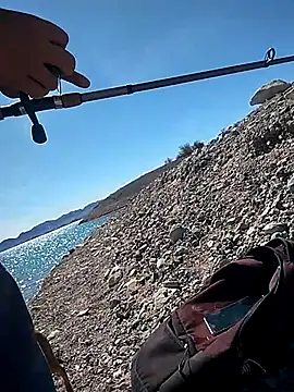 Snapshot of FloppyPickle4u chatting on March 2025 07:43:02 PM FloppyPickle4u online show from March 2025 07:43:02 PM