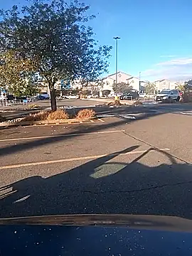 Snapshot of FloppyPickle4u chatting on September 2025 03:11:01 PM FloppyPickle4u online show from September 2025 03:11:01 PM