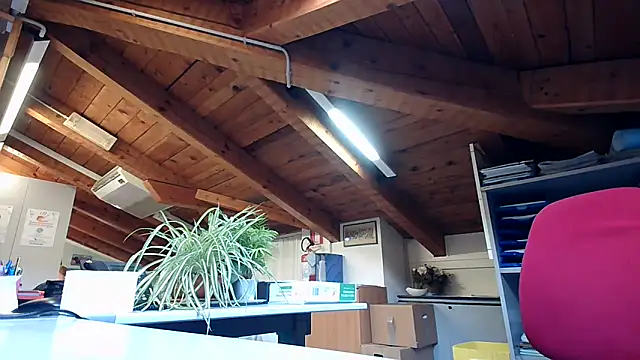 TWENTYONE0021 online show from February 2025 07:51:02 AM