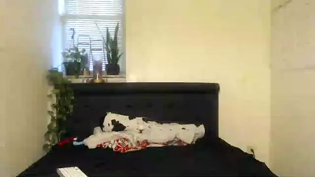 Snapshot of vixenpaisley2 chatting on December 2024 03:04:01 AM vixenpaisley2 online show from December 2024 03:04:01 AM