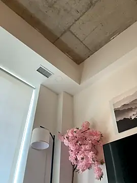 Your Paris online show from November 2025 07:35:01 PM