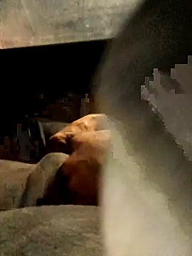 xWhoreAbleX Pika online show from March 2025 12:43:01 AM