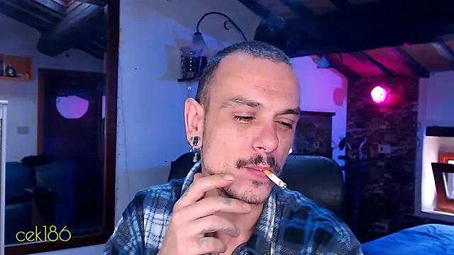 cek 186 online show from November 2025 08:47:02 AM