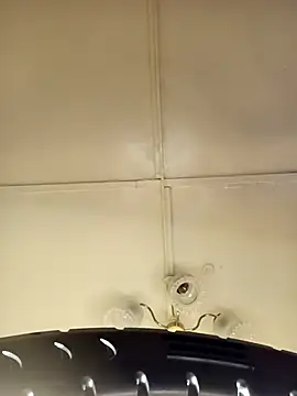    Midnight    online show from March 2026 02:06:02 AM