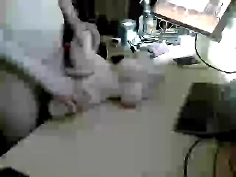 freaksofcock online show from March 2026 04:34:02 PM