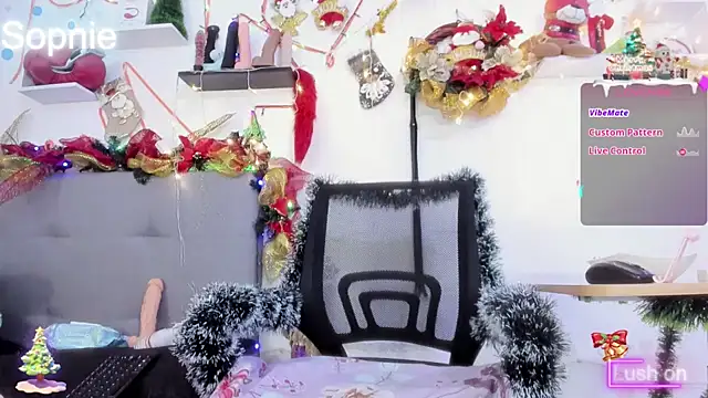 Sophiehuntress online show from December 2024 04:56:02 AM