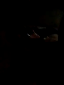 Hedygostozin online show from March 2026 10:32:01 AM