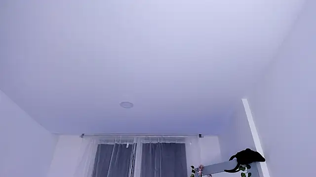 Snapshot of _mia_collins_b_ chatting on January 2025 01:48:01 AM mia collins b online show from January 2025 01:48:01 AM