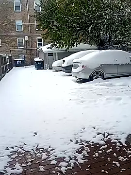 AmazonianMistress online show from November 2025 07:35:01 PM