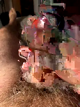 francoers online show from October 2025 11:17:02 PM