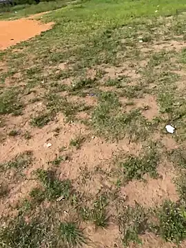 Snapshot of Black-mamba-madingo chatting on February 2026 08:55:01 AM Black-mamba-madingo online show from February 2026 08:55:01 AM