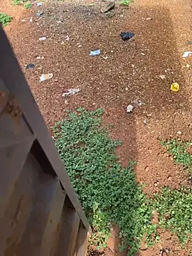 Snapshot of Black-mamba-madingo chatting on April 2026 08:23:02 AM Black-mamba-madingo online show from April 2026 08:23:02 AM