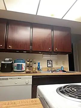 DhaTruth online show from March 2025 03:29:02 PM