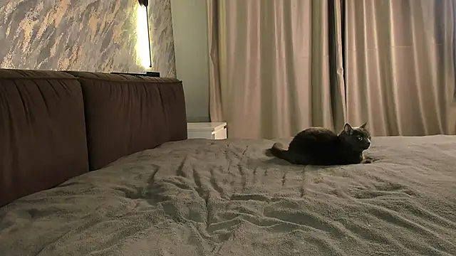 Snapshot of laflamebella chatting on September 2025 05:07:01 PM laflamebella online show from September 2025 05:07:01 PM