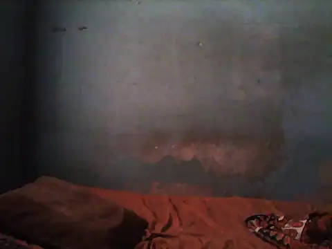 Snapshot of little__joy chatting on November 2025 01:44:02 PM little joy online show from November 2025 01:44:02 PM