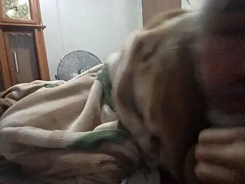 Snapshot of Xoc8_ chatting on February 2026 09:28:02 AM Xoc8 online show from February 2026 09:28:02 AM