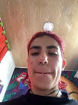 Snapshot of _Artemisa_X chatting on February 2025 03:20:02 PM Artemisa X online show from February 2025 03:20:02 PM