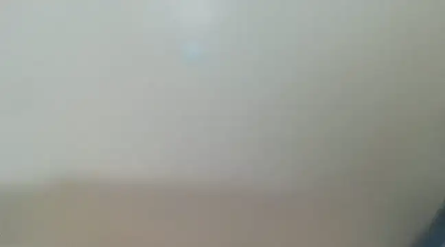 tropicalesen online show from March 2025 02:19:02 PM