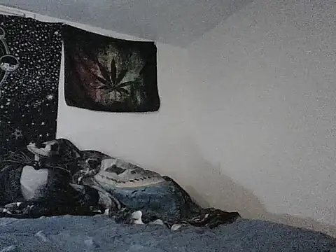 webetokinmo420 online show from November 2025 10:29:01 AM