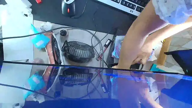 Lilyevansx online show from October 2025 06:05:02 PM