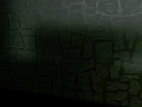 Lilyevansx online show from October 2025 04:06:02 PM