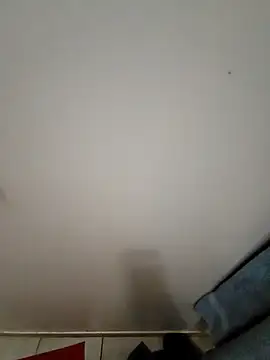 Reinacatchile online show from December 2024 01:50:02 AM