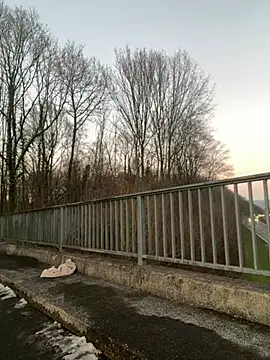 NickyGold Official online show from January 2025 04:10:01 PM