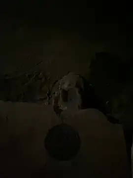 nowex18 online show from March 2025 05:48:02 AM