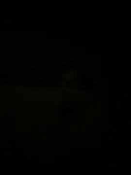 nowex18 online show from March 2025 05:41:02 AM