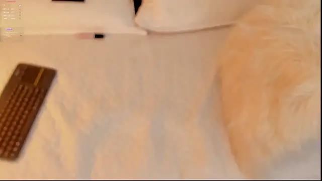 Snapshot of FabianPriince chatting on January 2025 06:28:01 PM FabianPriince online show from January 2025 06:28:01 PM