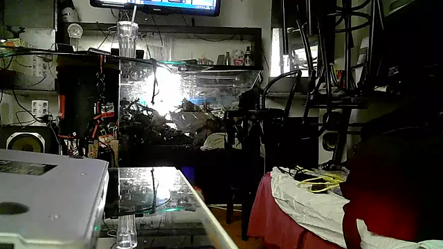 0815lukas2024 online show from November 2025 05:03:01 PM