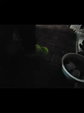 0815lukas2024 online show from November 2025 11:54:01 PM