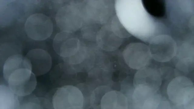 0815lukas2024 online show from December 2025 03:58:02 AM