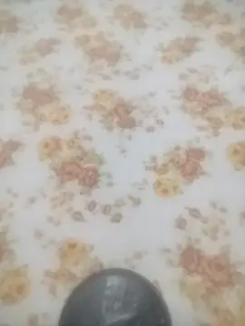 Working- online show from January 2026 12:09:02 PM