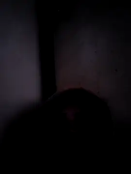 ListedLoin online show from March 2026 03:55:01 AM