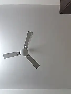 Snapshot of Manboobs178 chatting on February 2026 12:10:02 PM Manboobs178 online show from February 2026 12:10:02 PM