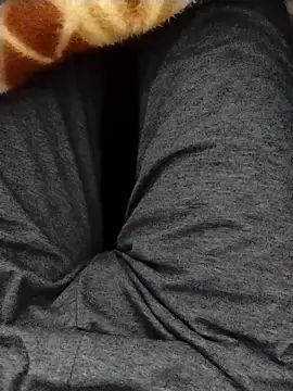 myhot1551 online show from February 2025 04:20:01 PM