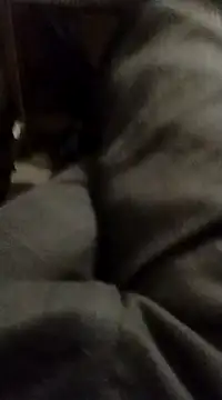 myhot1551 online show from February 2025 04:25:01 AM