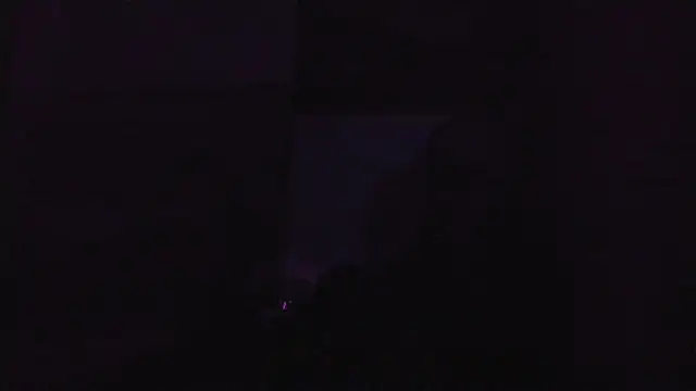 guy master online show from December 2024 04:49:01 PM